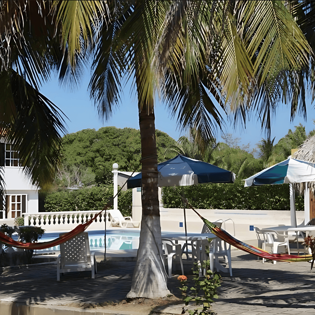 Imagen Palmeras ( 1,080 x 1,080 Pix ) (1)
